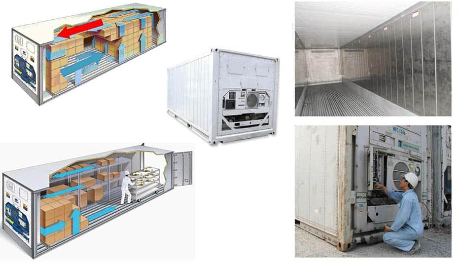 Vận Chuyển Container Lạnh