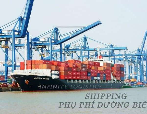 Tìm hiểu các loại phí và phụ phí khi vận chuyển đường biển