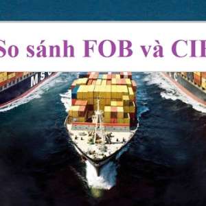 Tìm hiểu FOB là gì? CIF là gì? Sự khác nhau giữa FOB và CIF
