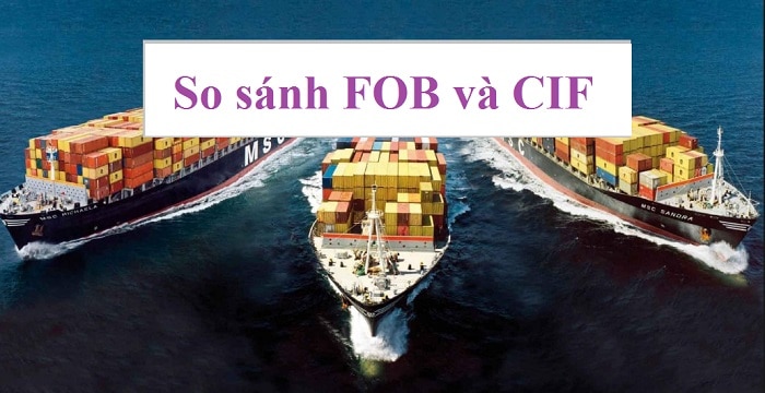 Tìm hiểu FOB là gì? CIF là gì? Sự khác nhau giữa FOB và CIF