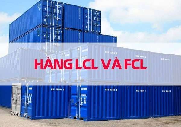 Hàng LCL và hàng FCL là gì? Sự khác nhau giữa hàng LCL và FCL