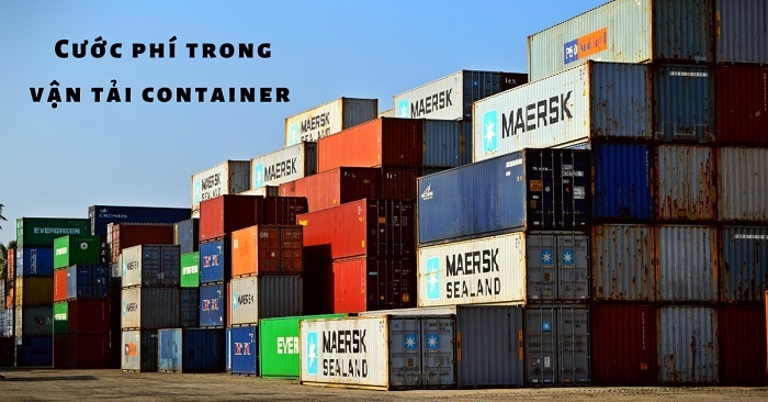 Vận chuyển Container bằng đường biển có những ưu, nhược điểm gì?