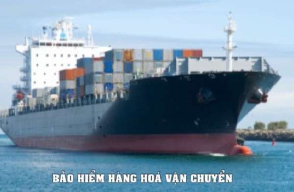 Tại sao phải mua bảo hiểm vận tải hàng hóa bằng đường biển