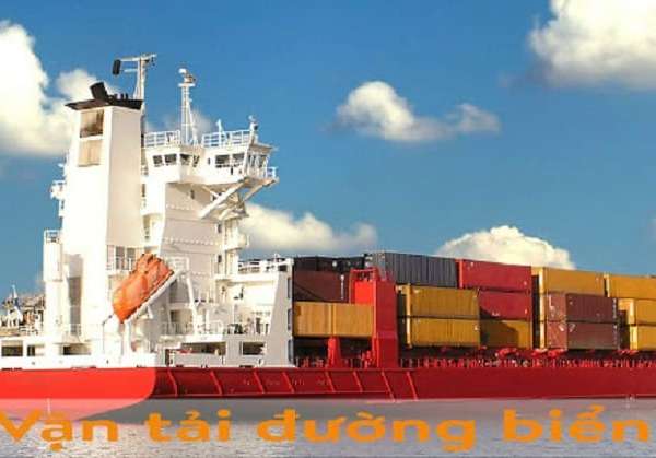 Tìm hiểu các loại hàng hóa phù hợp vận tải bằng đường biển