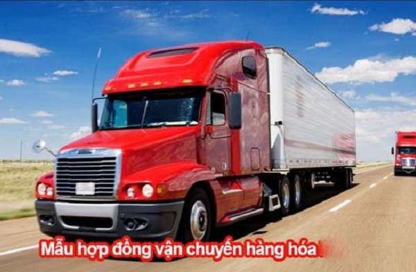 Những mẫu hợp đồng vận tải hàng hóa phổ biến hiện nay