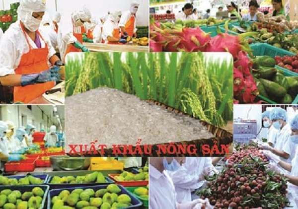 Thủ tục xuất khẩu nông sản sang Trung Quốc bằng đường sắt