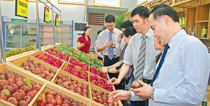 Tiêu chuẩn xuất khẩu nông sản qua Trung Quốc chi tiết nhất