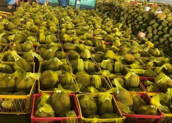 Tìm hiểu quá trình sầu riêng xuất khẩu sang Trung Quốc hiện nay