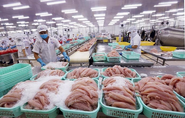 Tìm hiểu quy định, tiêu chuẩn xuất khẩu cá tra sang Trung Quốc