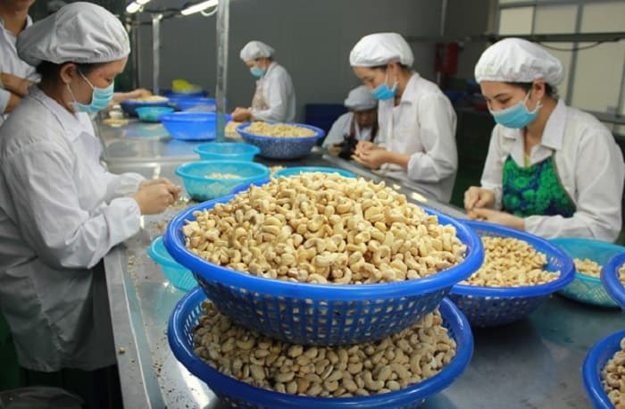 Việt Nam xuất khẩu hạt điều sang Trung Quốc theo tiêu chuẩn quốc tế