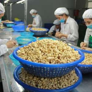 Việt Nam xuất khẩu hạt điều sang Trung Quốc theo tiêu chuẩn quốc tế