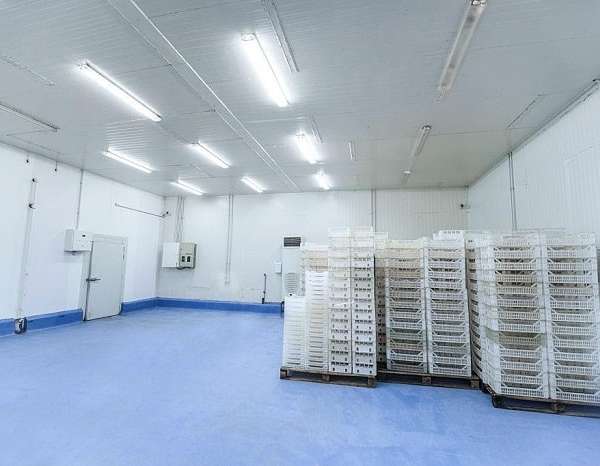 Khi có nhu cầu thuê kho lạnh, bạn cần lưu ý những vấn đề gì?