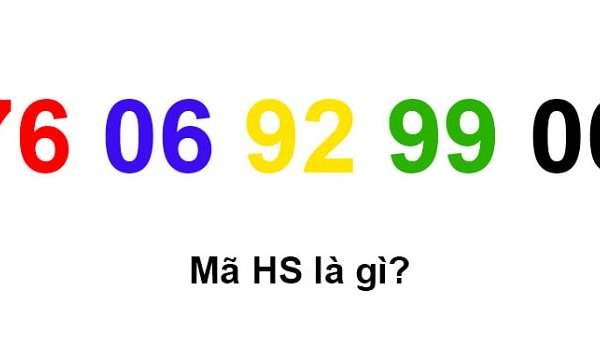 Tìm hiểu mã HS Code là gì? Thông tin chi tiết về mã HS trong vận chuyển