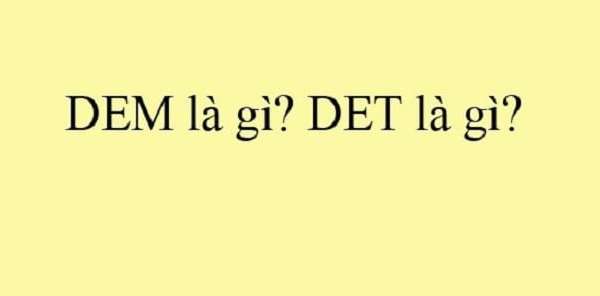 DEM và DET là phí gì? Tìm hiểu sự khác nhau giữa DEM và DET