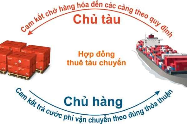 Hợp đồng thuê tàu vận chuyển và những quy định mà người thuê cần nắm rõ
