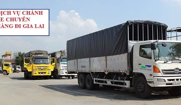 Ratraco Solutions cung cấp dịch vụ chuyển hàng đi Gia Lai uy tín, giá rẻ