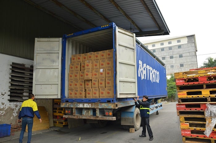 Nhận gửi hàng đi Bình Định bằng Container đường bộ và đường sắt giá rẻ