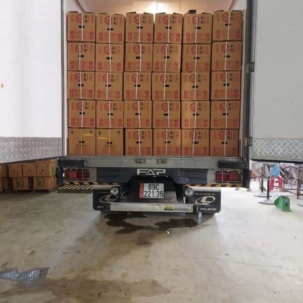 Nên thuê xe tải lạnh ở đâu giá rẻ tại TPHCM?