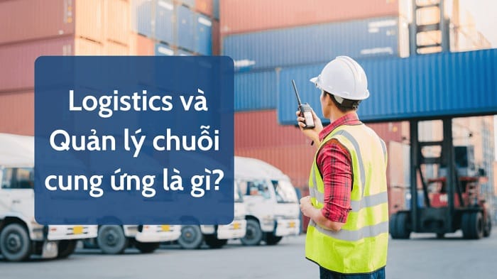 Tìm hiểu chuỗi Logistics bao gồm những mảng nào?