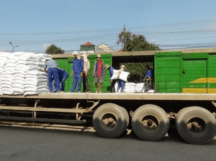 Nhận vận chuyển Gạo bằng Container giá rẻ và nhanh chóng