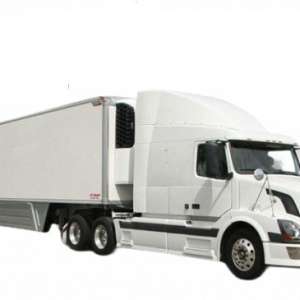 Ratraco Solutions nhận vận chuyển Hoa Tươi bằng xe lạnh trên toàn quốc