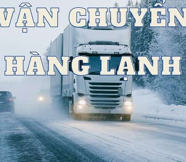 Kinh nghiệm vận chuyển hàng đông lạnh bằng container an toàn, hiệu quả