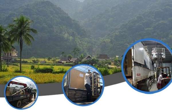 Dịch vụ chở hàng đi Thanh Hóa từ Bình Dương nhanh chóng, an toàn, giá rẻ