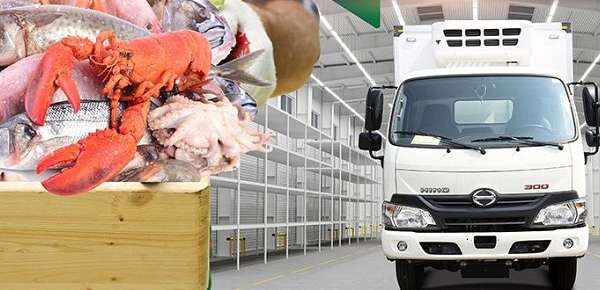 Nguyên tắc vận chuyển thủy hải sản đảm bảo an toàn, tươi sống