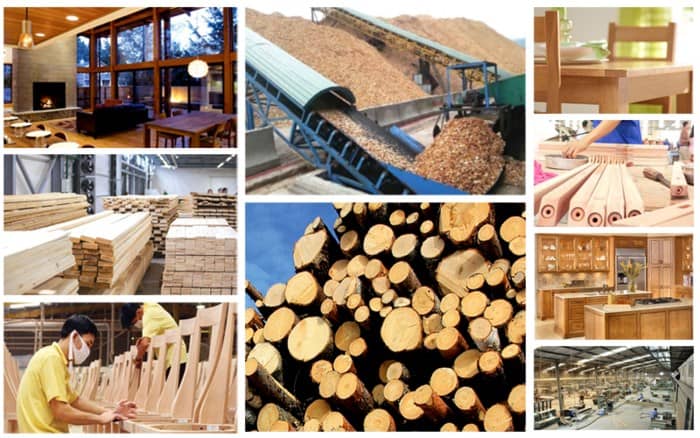 Bảng giá vận chuyển gỗ, sản phẩm gỗ đi Trung Quốc bằng đường sắt tốt nhất 2022
