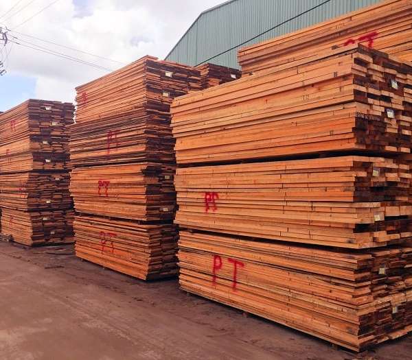 Bảng giá vận chuyển gỗ, sản phẩm gỗ đi Trung Quốc bằng đường sắt tốt nhất 2022