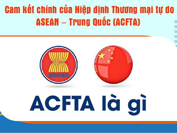 ACFTA là gì? Nội dung và quy định cụ thể trong ACFTA