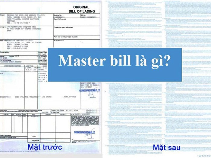 Master Bill là gì? Phân biệt Master bill và House bill chính xác nhất