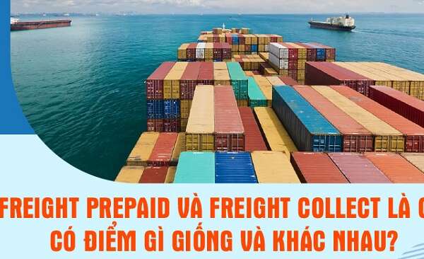 Freight Prepaid và Freight Collect là gì? Điểm giống và khác nhau?