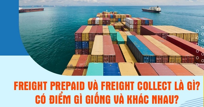 Freight Prepaid và Freight Collect là gì? Điểm giống và khác nhau?