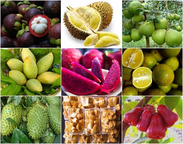 Tìm hiểu quy cách đóng gói trái cây xuất khẩu an toàn, đúng tiêu chuẩn