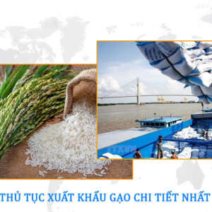 Thủ tục xuất khẩu Gạo đi nước ngoài mà bạn nên biết năm 2022