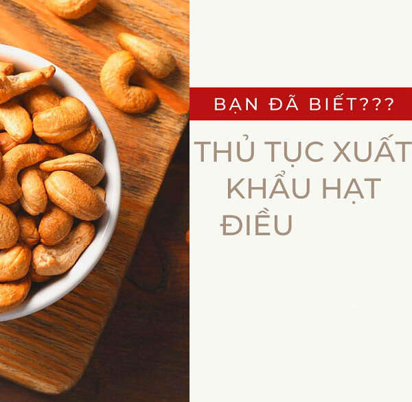 Thủ tục xuất khẩu hạt điều chi tiết nhất năm 2022