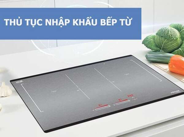Tìm hiểu thủ tục nhập khẩu bếp từ chi tiết nhất 2022