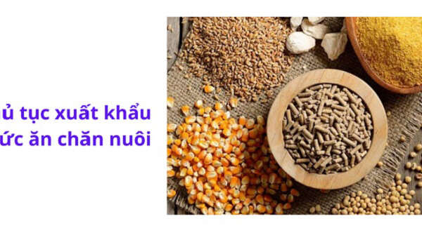 Thủ tục xuất khẩu thức ăn chăn nuôi chi tiết nhất 2022