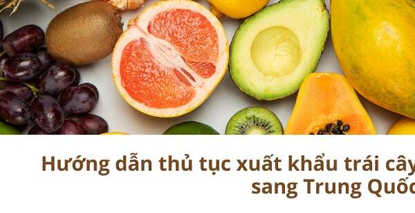 Thủ tục xuất khẩu trái cây sang Trung Quốc năm 2022 thế nào?
