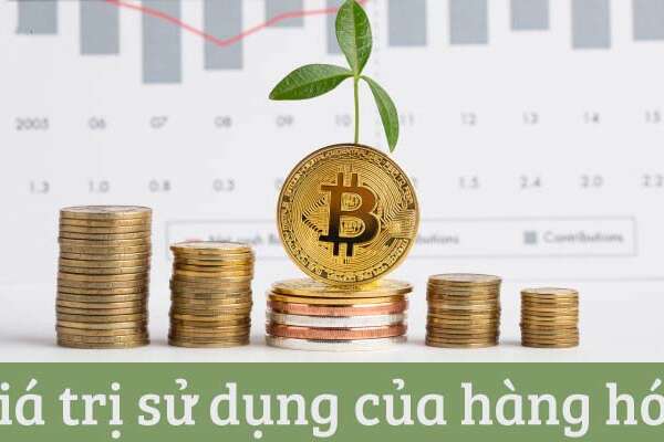 Giá trị sử dụng của hàng hóa được hiểu là gì?