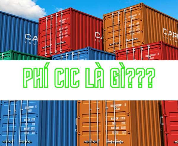 Phí CIC là gì? Ai phải chịu và tra cứu như thế nào?