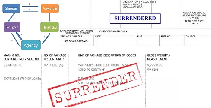 Surrendered bill of lading là gì? Tìm hiểu vai trò và tầm quan trọng