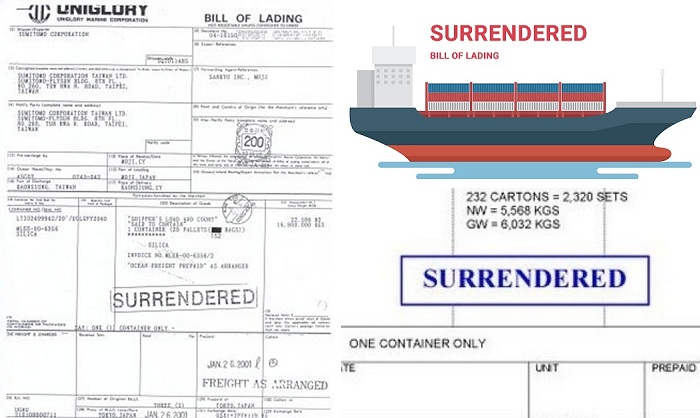 Surrendered bill of lading là gì? Tìm hiểu vai trò và tầm quan trọng