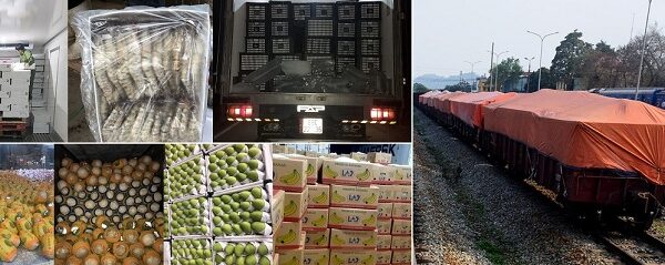 Dịch vụ chuyển hàng từ Vũng Tàu đi Lào Cai bằng đường sắt