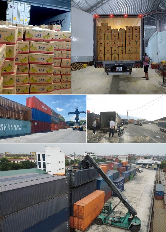 Cước chuyển hàng từ Cần Thơ đi Lào Cai bằng Container đường sắt