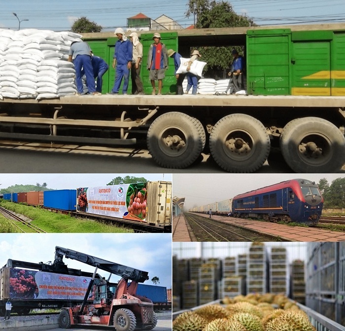 Top 10 nước xuất khẩu gạo lớn nhất thế giới hiện nay