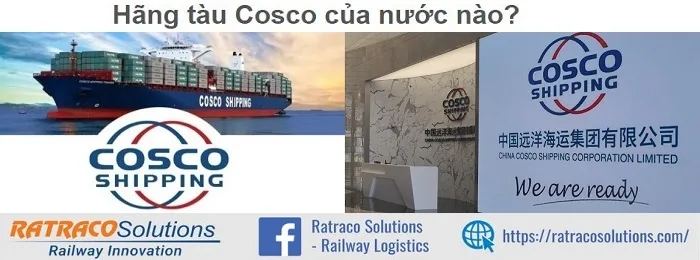 Hãng tàu Cosco của nước nào? Có mấy tàu?