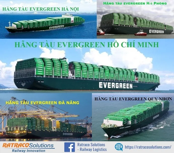 Hãng tàu Evergreen của nước nào?