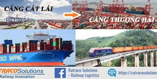Giá chuyển hàng từ cảng Cát Lái đi cảng Thượng Hải 2024
